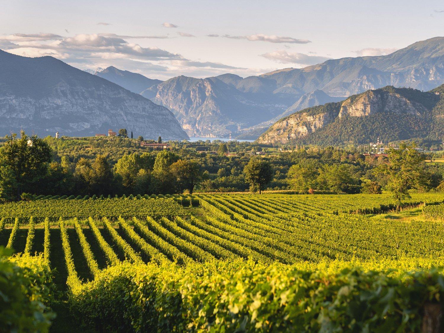 La Corte Del Bona - Vicino Alle Cantine E A Circa 15 Minuti Dal Lago Di Iseo - Apartamento Erbusco Exterior foto